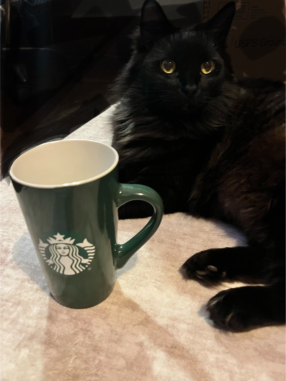 Starbucks 2020 White MERMAID LOGO mug